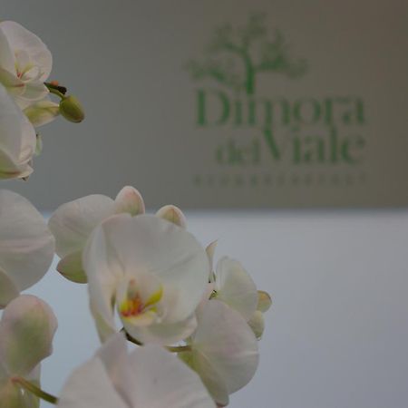 아그리젠토 Dimora Del Viale B&B 외부 사진