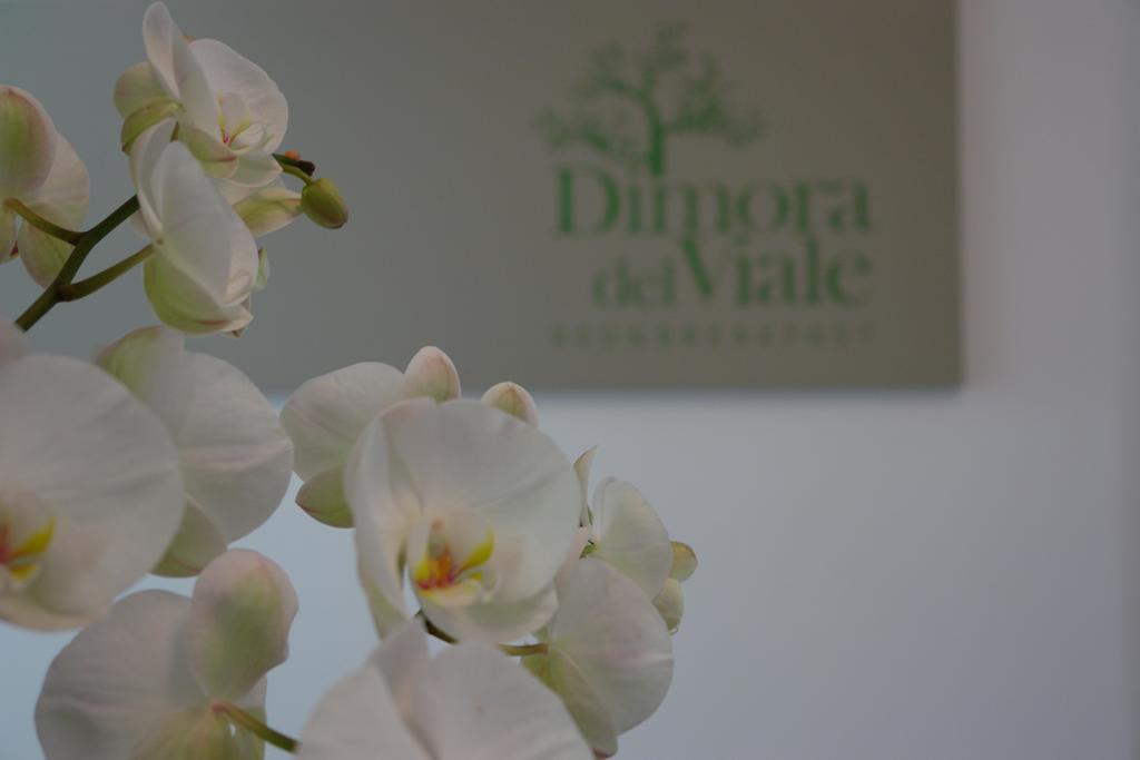 아그리젠토 Dimora Del Viale B&B 외부 사진